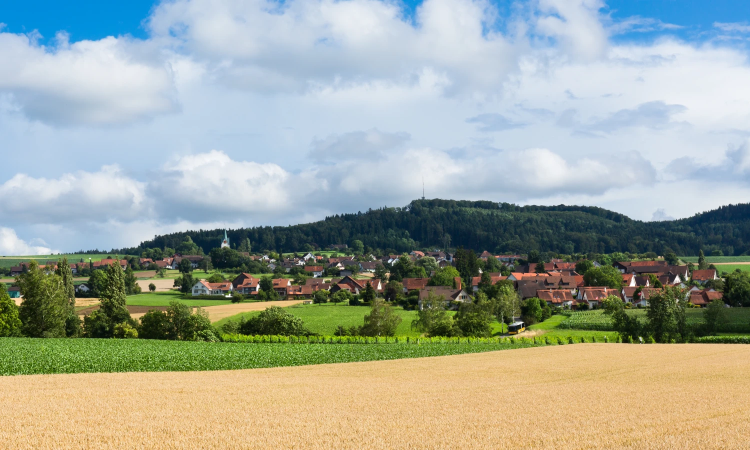 Motrag Geschichte